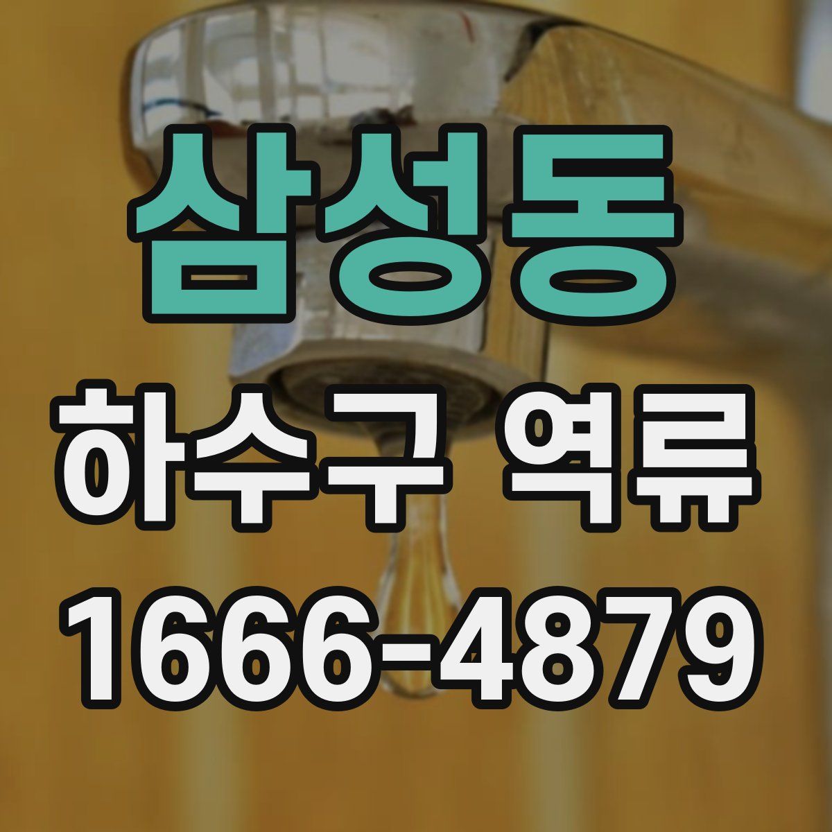 삼성동 하수구 역류