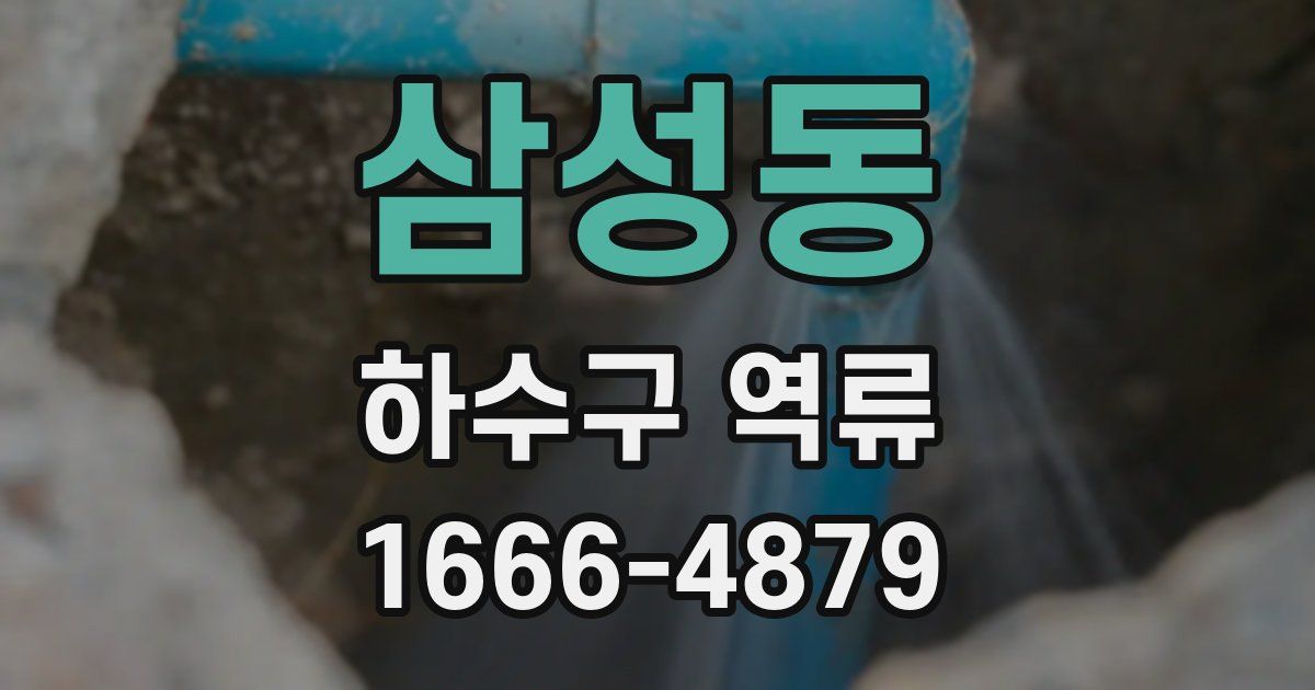삼성동 하수구 역류