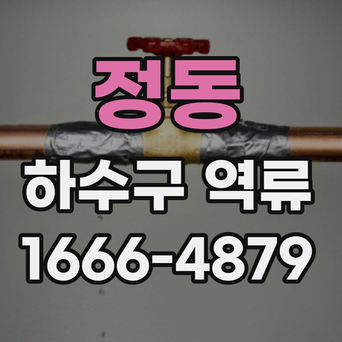 정동 하수구 역류