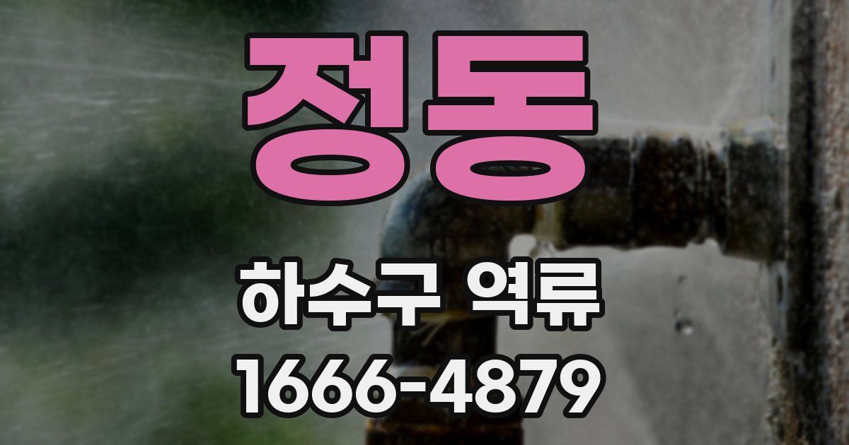 정동 하수구 역류