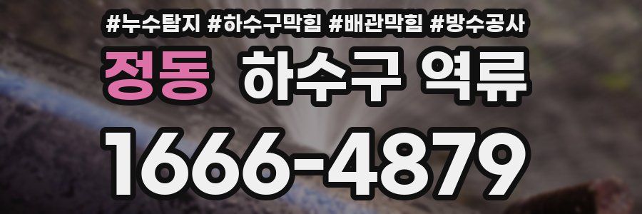 정동 하수구 역류