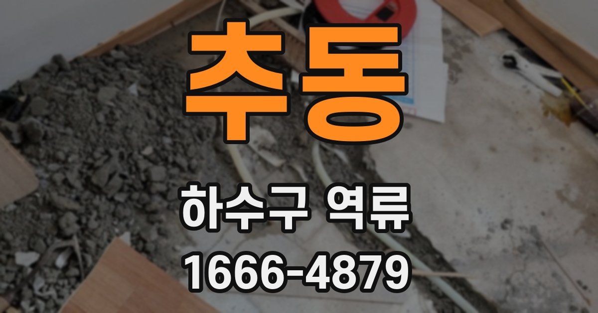 추동 하수구 역류