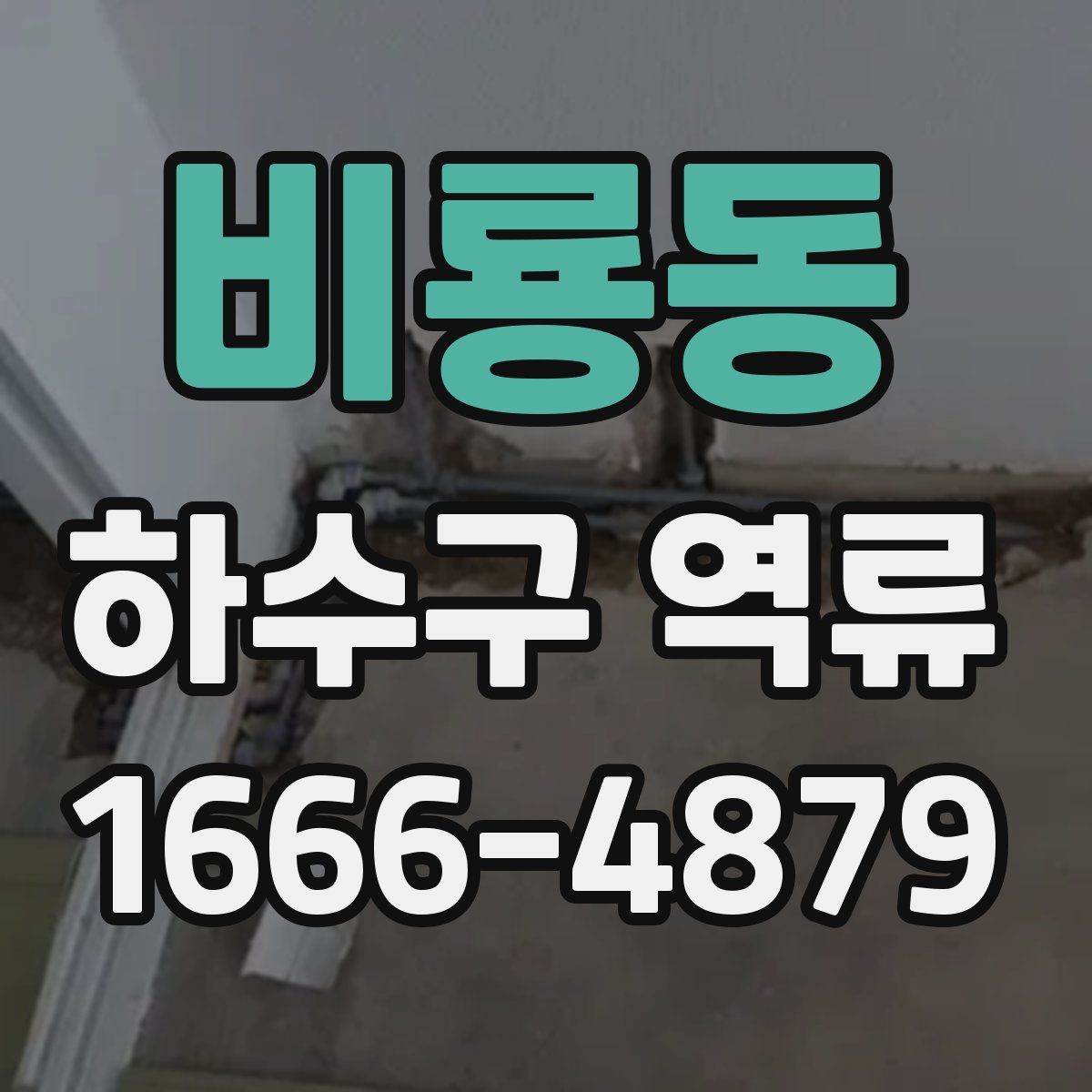 비룡동 하수구 역류