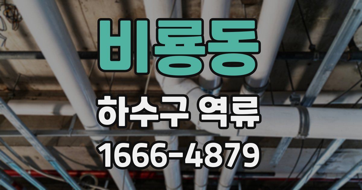 비룡동 하수구 역류