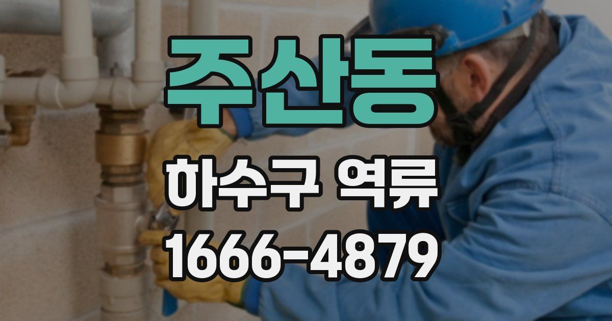 주산동 하수구 역류