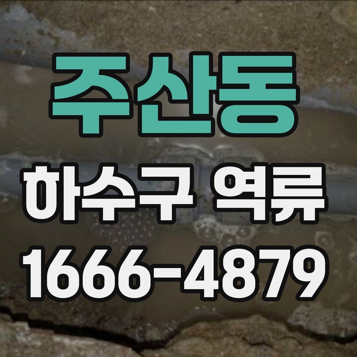 주산동 하수구 역류
