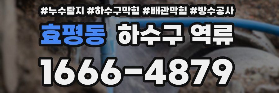 효평동 하수구 역류