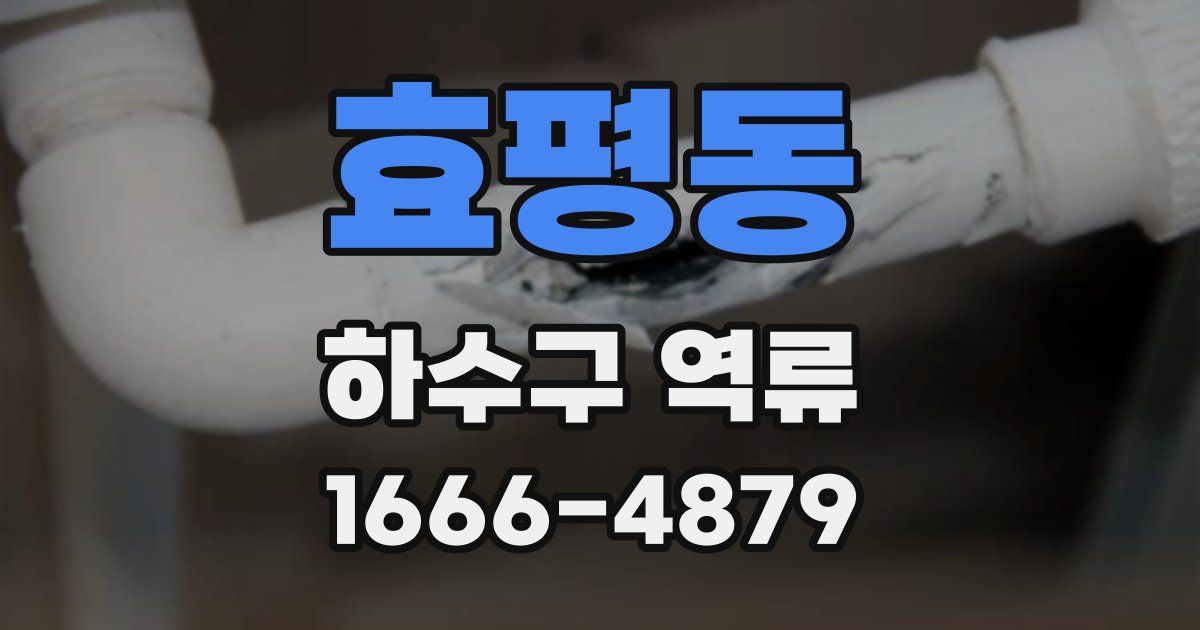 효평동 하수구 역류