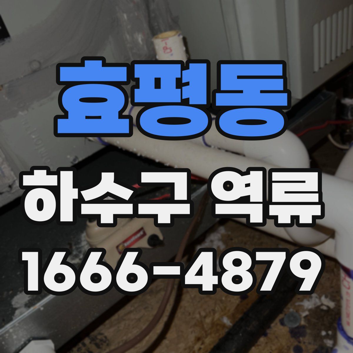 효평동 하수구 역류