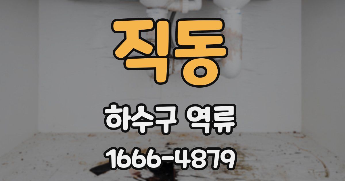 직동 하수구 역류