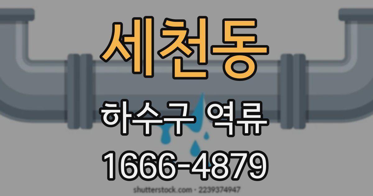 세천동 하수구 역류
