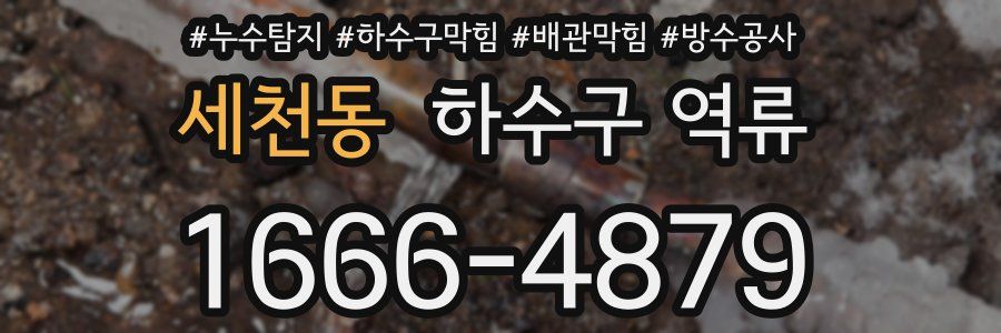 세천동 하수구 역류