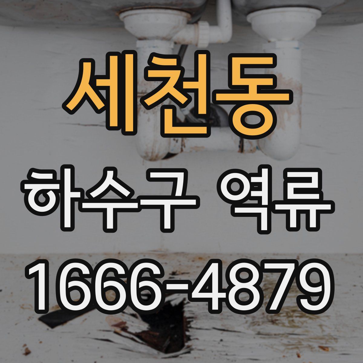 세천동 하수구 역류