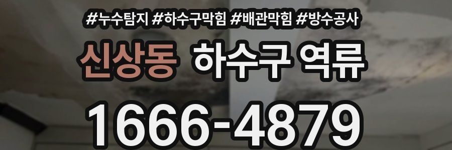 신상동 하수구 역류