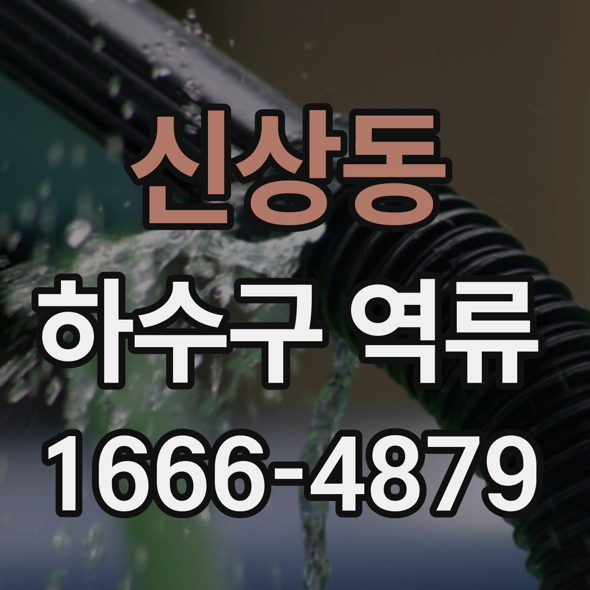 신상동 하수구 역류