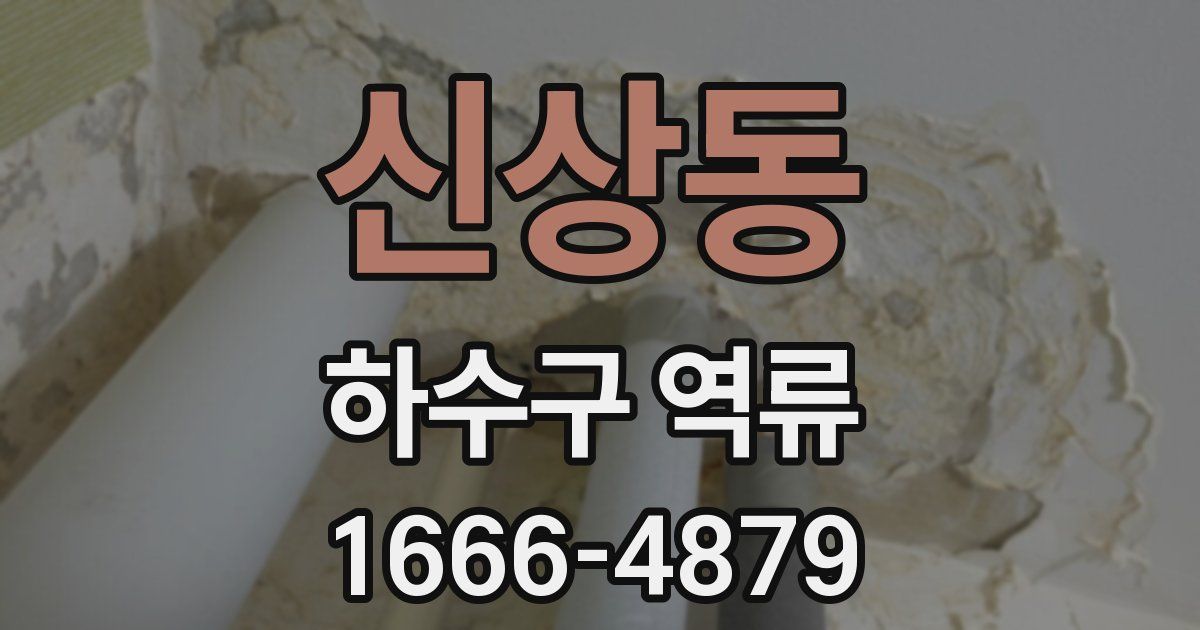 신상동 하수구 역류