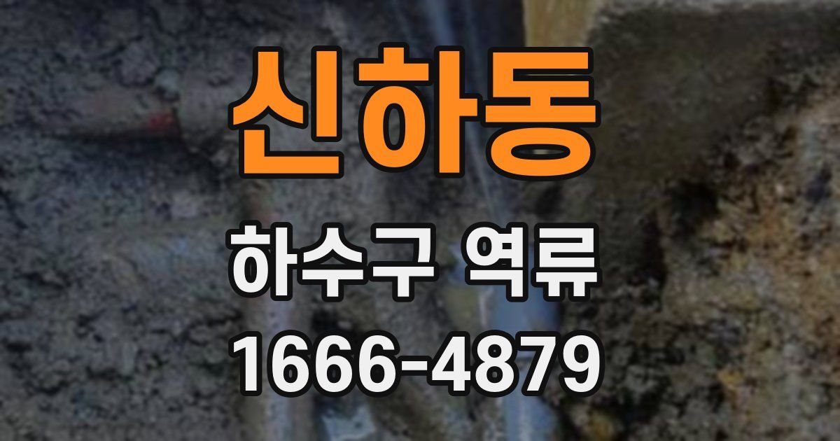 신하동 하수구 역류