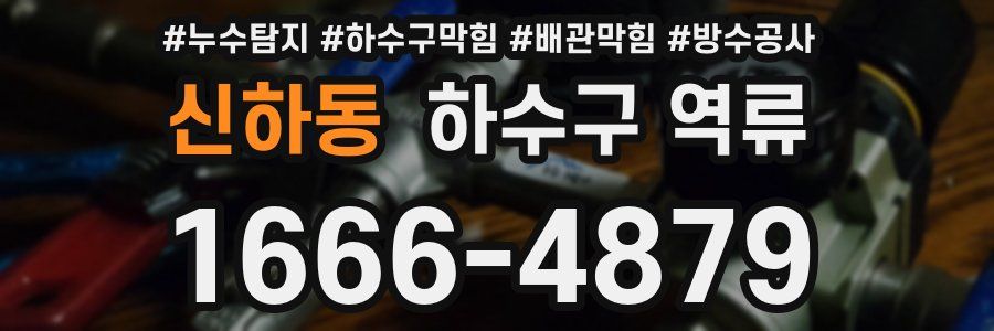 신하동 하수구 역류