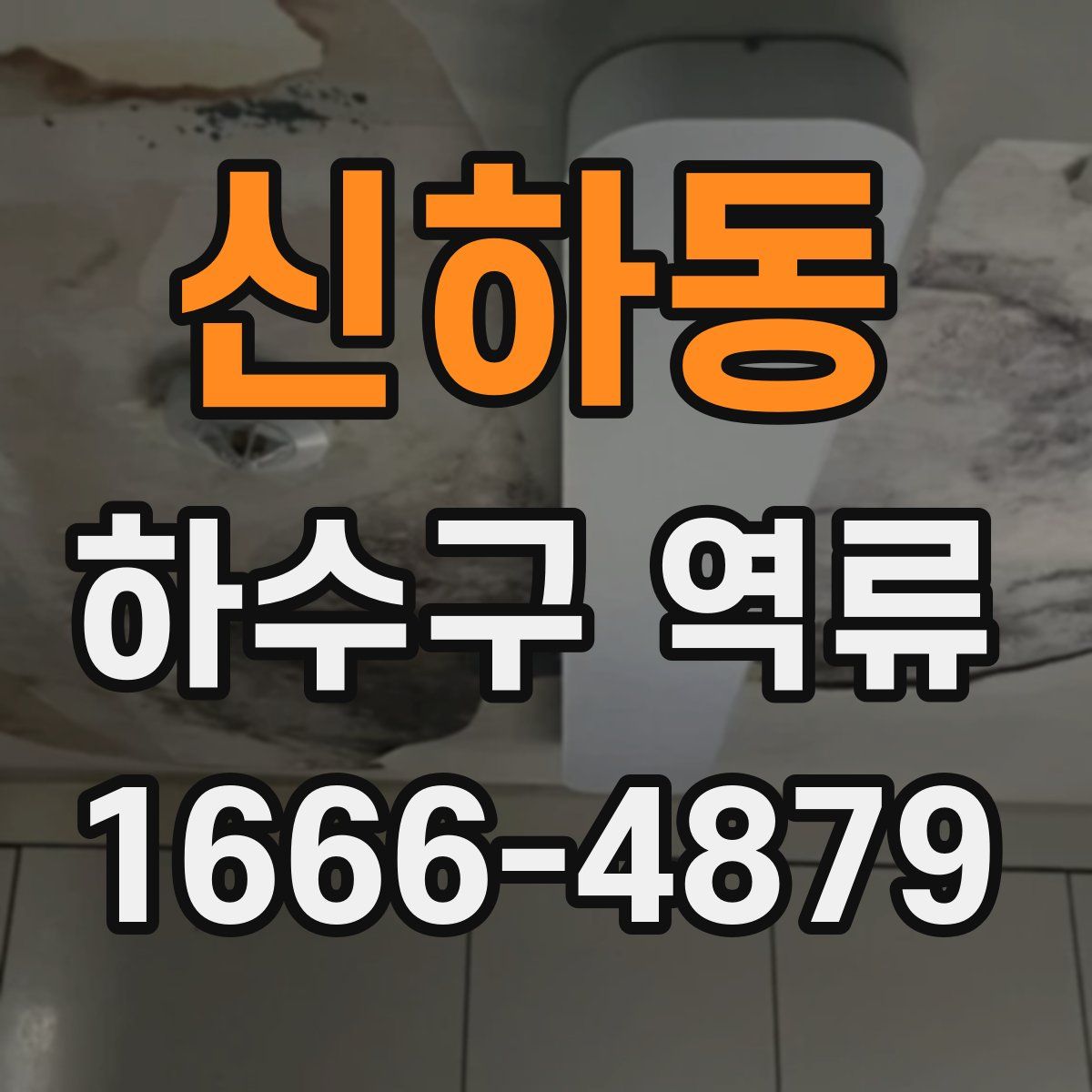 신하동 하수구 역류