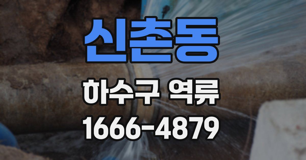 신촌동 하수구 역류
