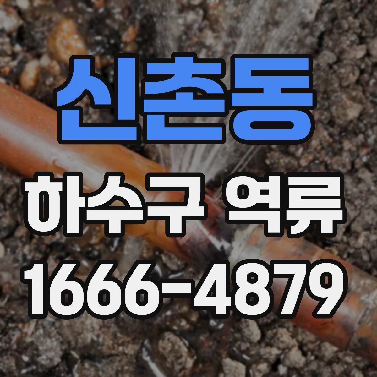신촌동 하수구 역류