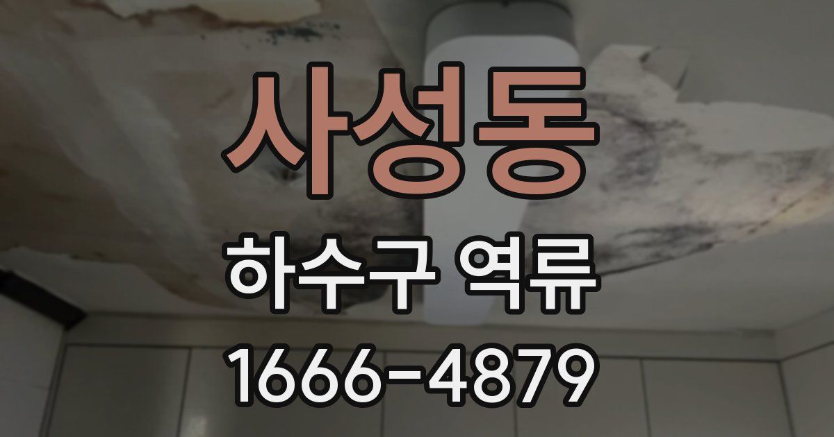 사성동 하수구 역류