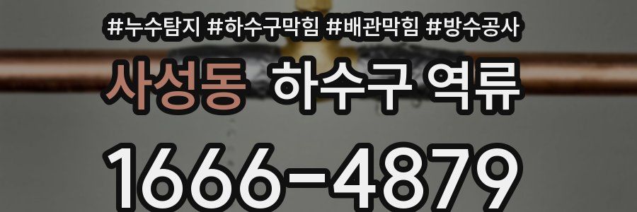 사성동 하수구 역류