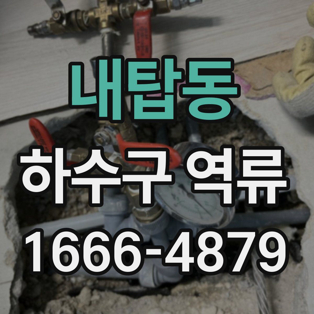 내탑동 하수구 역류