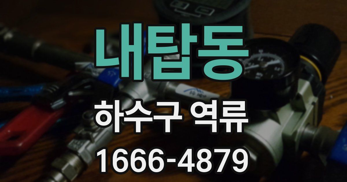내탑동 하수구 역류