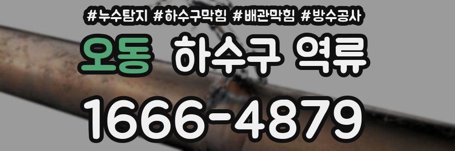 오동 하수구 역류