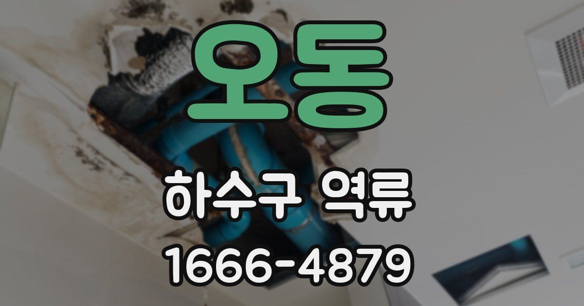 오동 하수구 역류