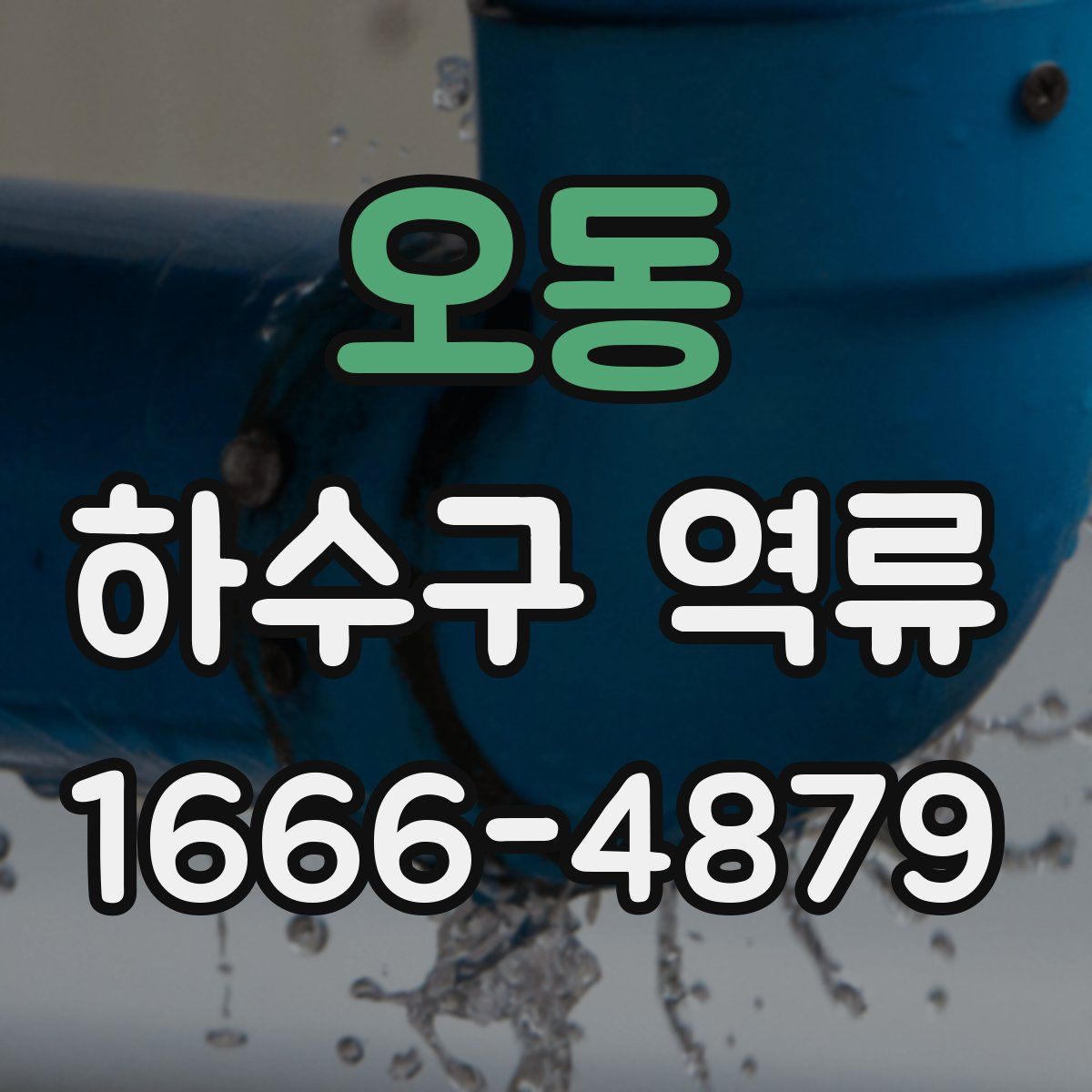 오동 하수구 역류