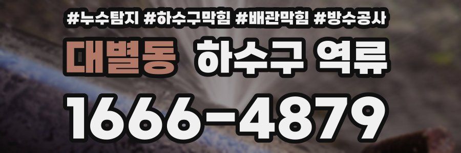 대별동 하수구 역류