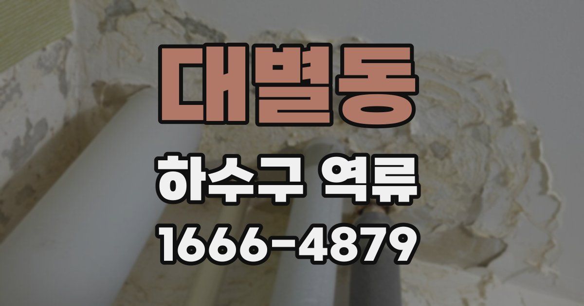 대별동 하수구 역류