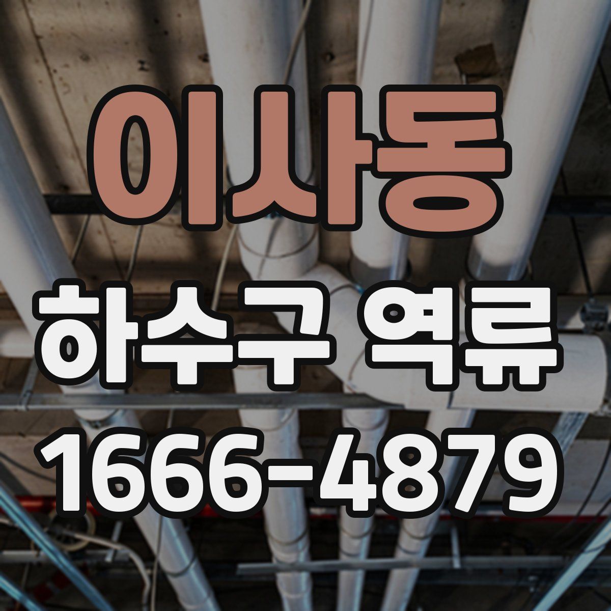 이사동 하수구 역류