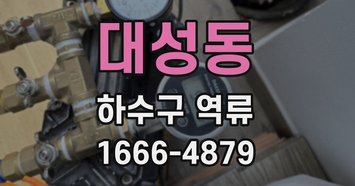 대성동 하수구 역류