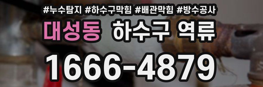 대성동 하수구 역류