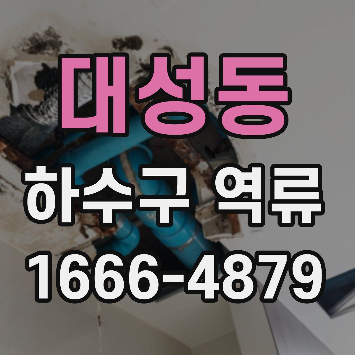 대성동 하수구 역류