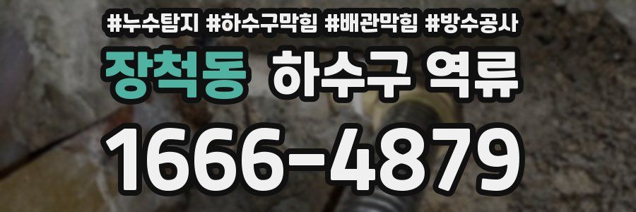 장척동 하수구 역류