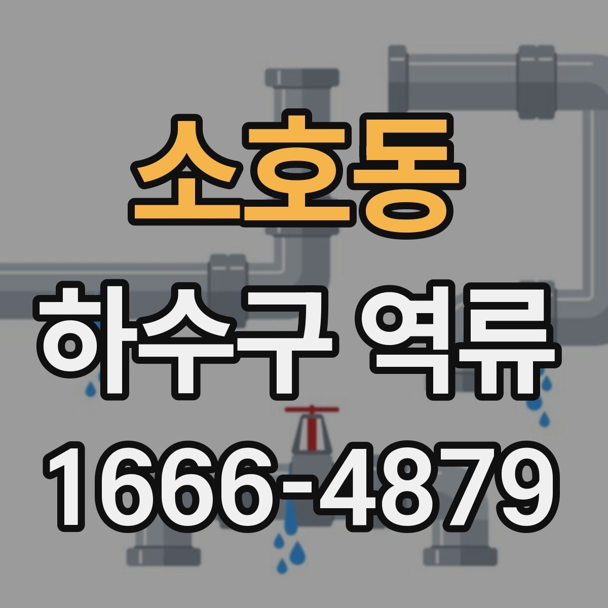 소호동 하수구 역류