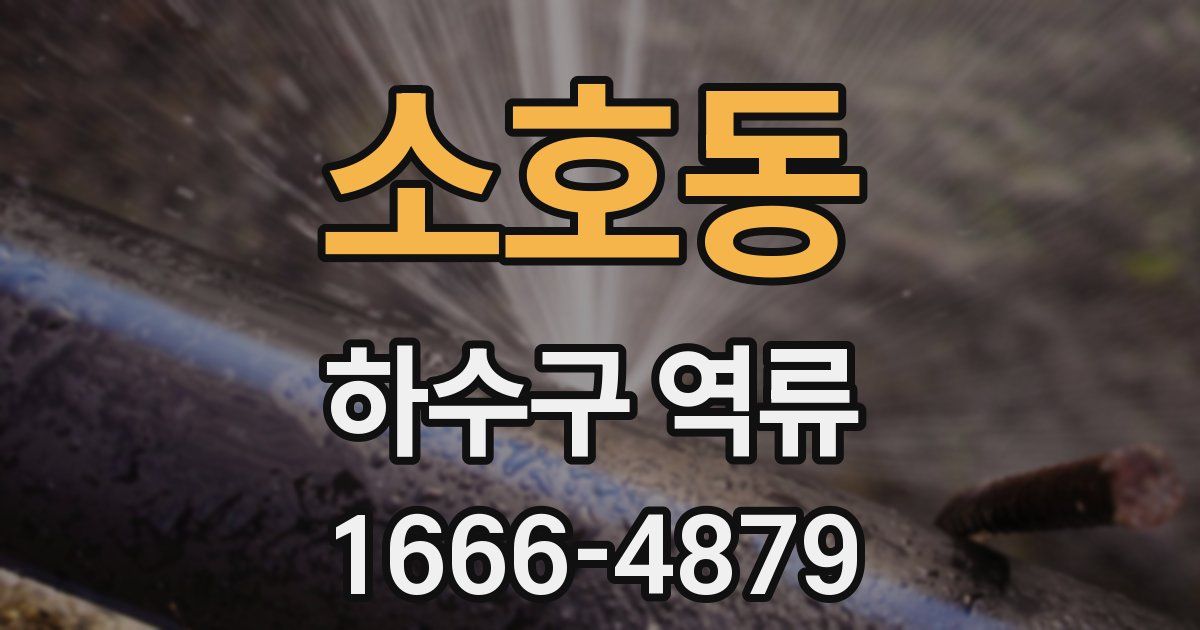 소호동 하수구 역류