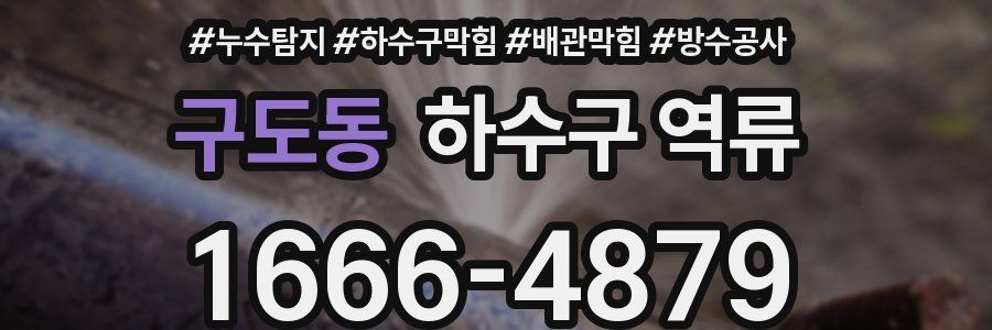구도동 하수구 역류