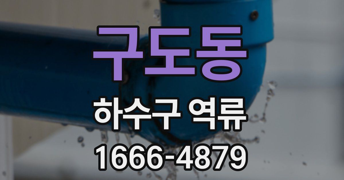구도동 하수구 역류