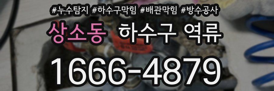 상소동 하수구 역류
