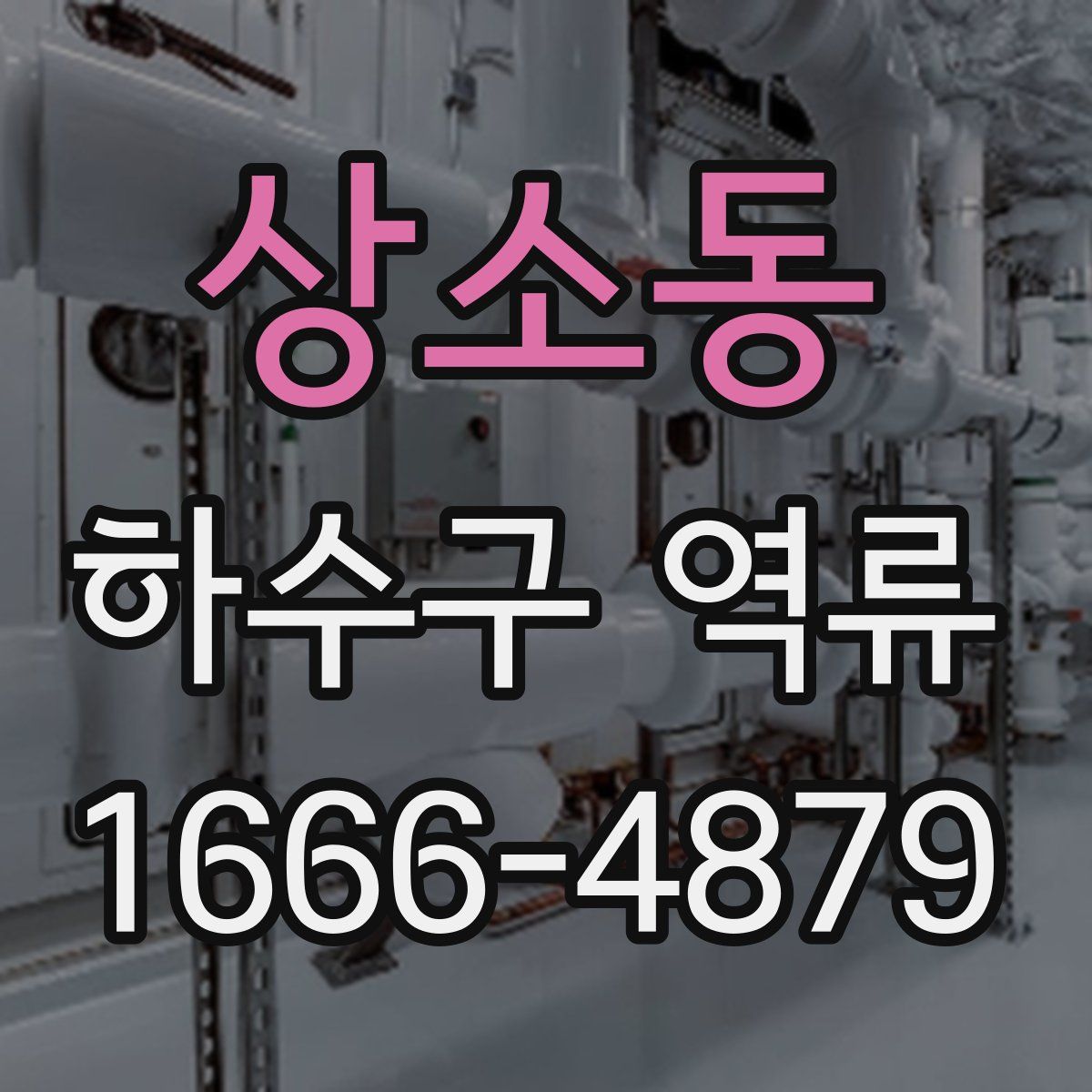 상소동 하수구 역류