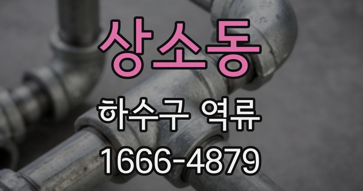 상소동 하수구 역류