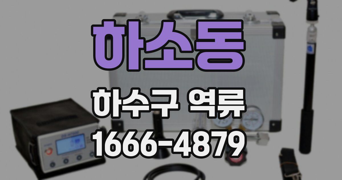 하소동 하수구 역류