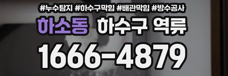 하소동 하수구 역류