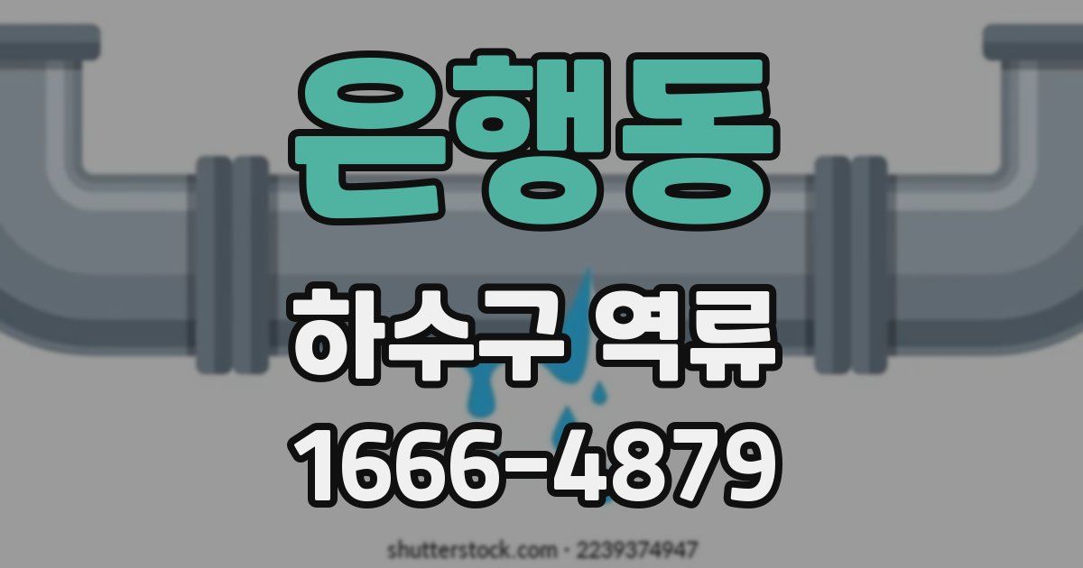 은행동 하수구 역류