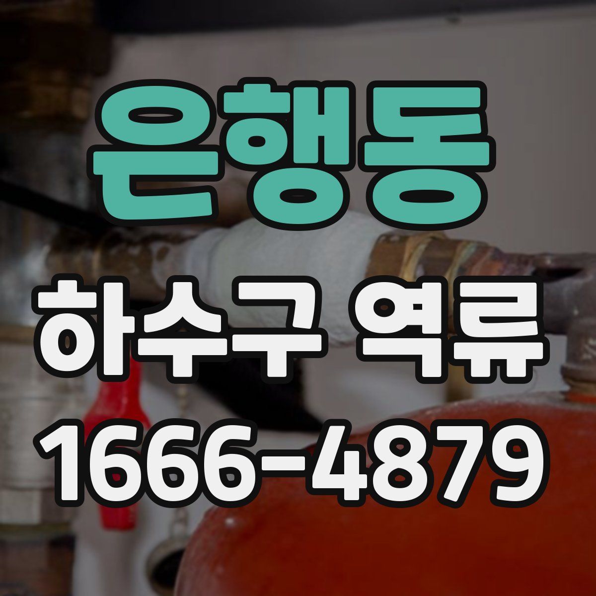 은행동 하수구 역류